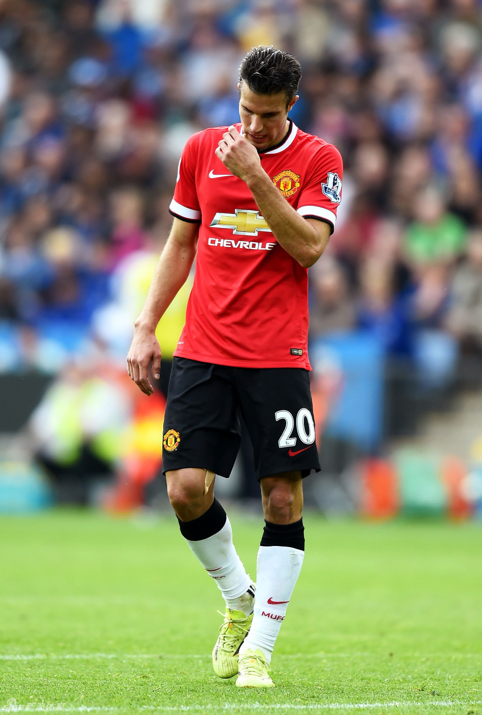 25+11！23+6！被郭士强嫌弃，被国家队退货，但偏偏你最争气